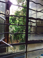 Hurricane Impact windows and doors